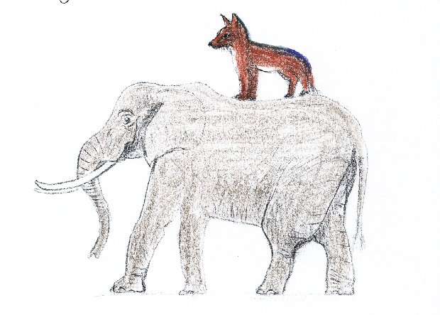 Der Fuchs auf dem K&ouml;nigsthron